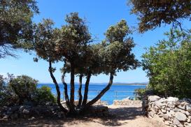 Cres - FKK Baldarin